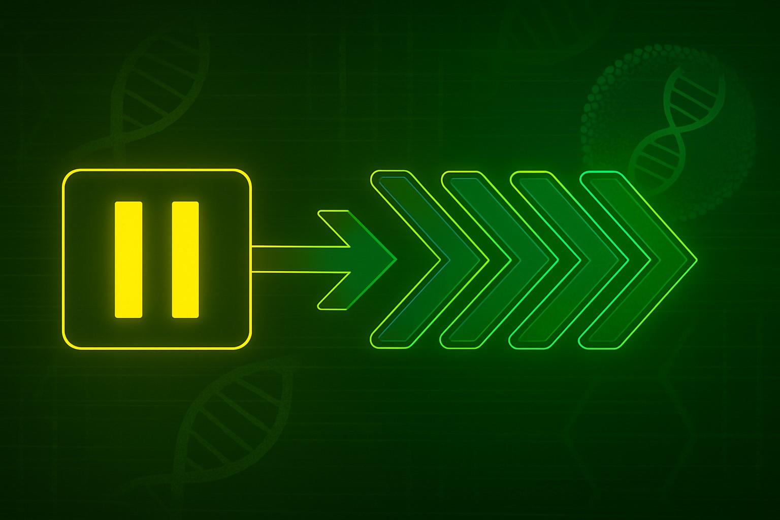 Slow down to speed up visual